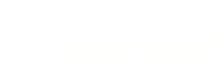 Zaninoni IFA Logo